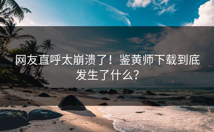 网友直呼太崩溃了！鉴黄师下载到底发生了什么？