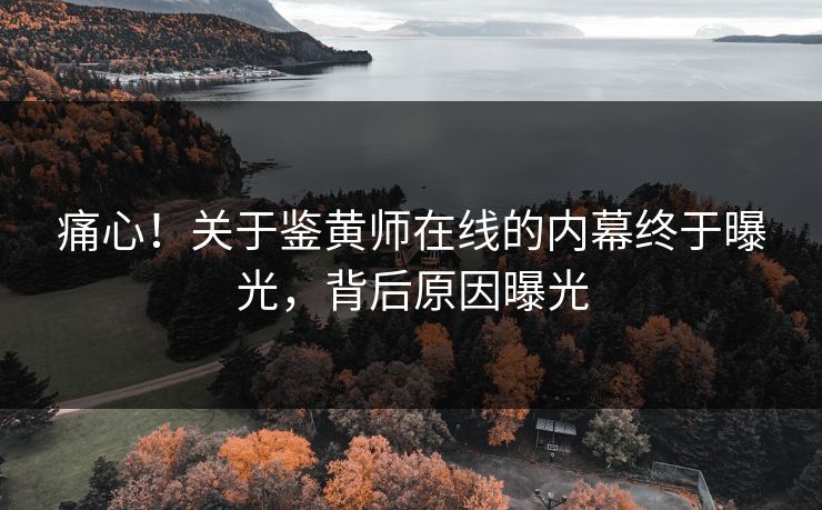痛心！关于鉴黄师在线的内幕终于曝光，背后原因曝光